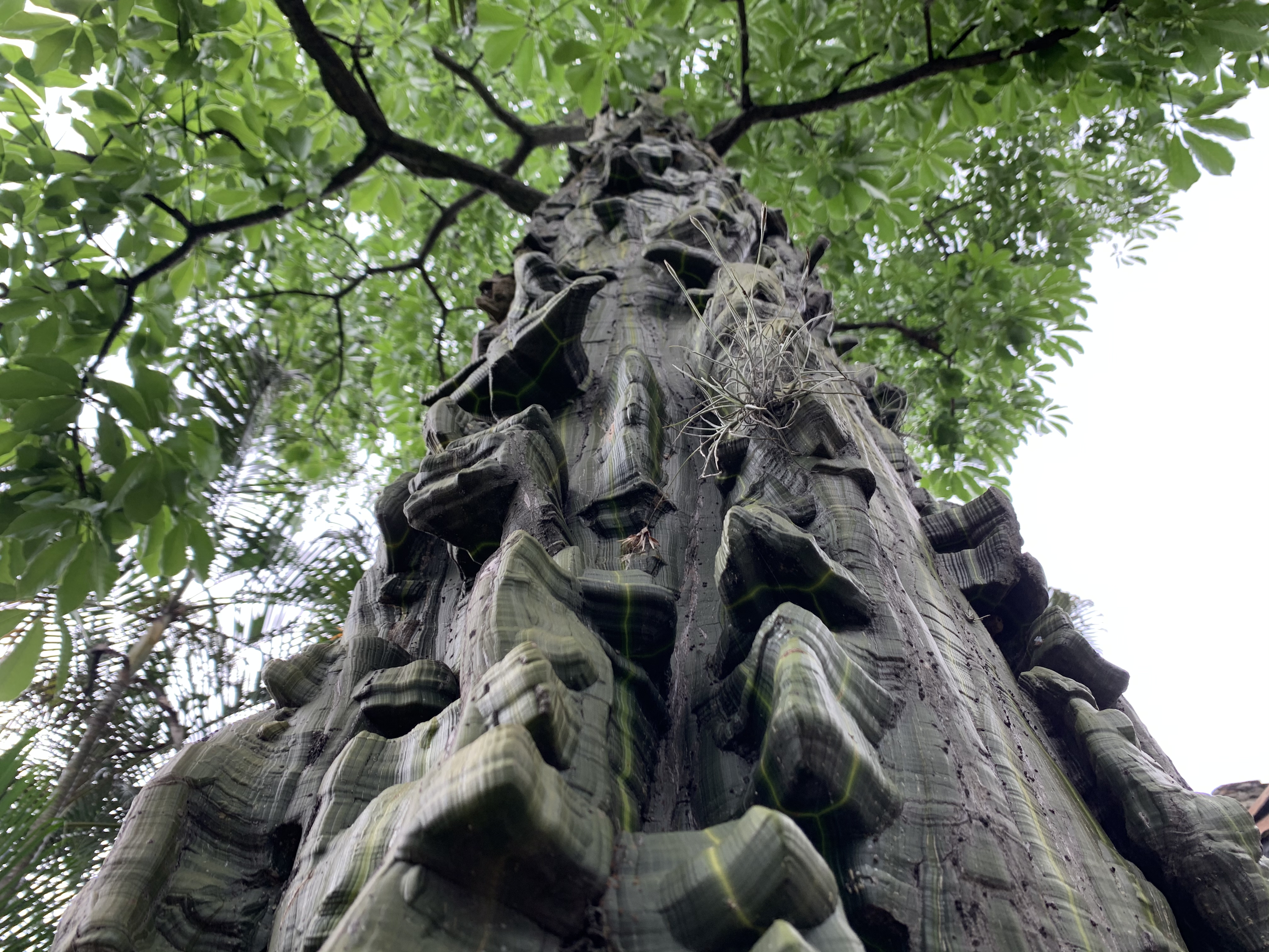 EPM 2 para el de dors